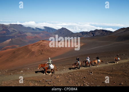 Reiter auf die Sliding Sands Trail im Haleakala National Park auf Maui Stockfoto