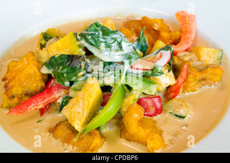 Thailändischer Freund Lachs Fischfilet in rotem Curry mit Basilikum Blätter, Kürbis und Paprika Closeup Stockfoto