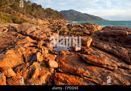 Blick entlang der Coles Bay Küste bis Mt Mayson, Teil des Sortiments auf Freycinet Halbinsel gefahren Stockfoto