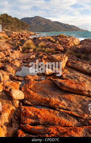 Blick entlang der Coles Bay Küste bis Mt Mayson, Teil des Sortiments auf Freycinet Halbinsel gefahren Stockfoto