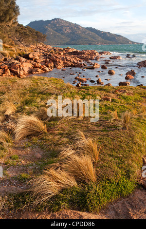 Blick entlang der Coles Bay Küste bis Mt Mayson, Teil des Sortiments auf Freycinet Halbinsel gefahren Stockfoto