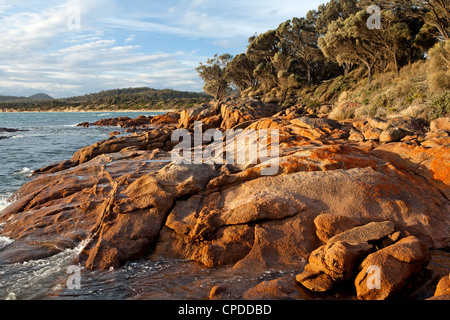 Ansicht von Coles Bay Muirs Strand entlang, Freycinet Peninsula Stockfoto