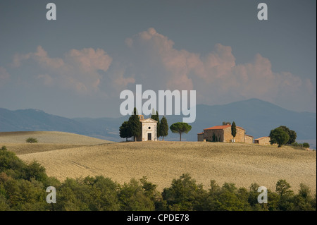 Die Kapelle Vitaleta und Zypresse Bäume auf den Hügeln des Val d ' Orcia, UNESCO-Weltkulturerbe, Toskana, Italien, Europa Stockfoto