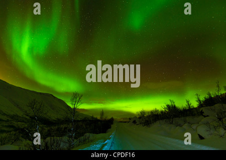 Aurora Borealis (Nordlicht) über dem Schnee gesehen fallen Weg, Troms, Norwegen, Skandinavien, Nordeuropa Stockfoto
