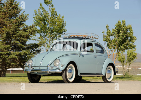 1957-VW-Käfer Stockfoto