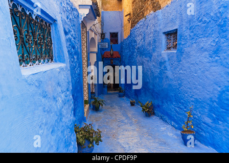 Chefchaouen (Chaouen), Tangeri-Tetouan Region, Rif-Gebirge, Marokko, Nordafrika, Afrika Stockfoto