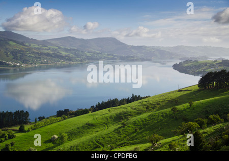 Otago Harbour, Otago Halbinsel Otago, Südinsel, Neuseeland, Pazifik Stockfoto