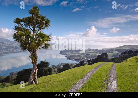 Otago Harbour, Otago Halbinsel Otago, Südinsel, Neuseeland, Pazifik Stockfoto