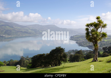 Otago Harbour, Otago Halbinsel Otago, Südinsel, Neuseeland, Pazifik Stockfoto