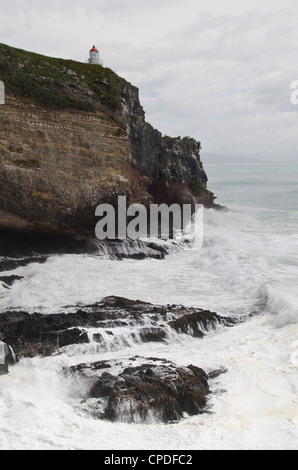 Royal Albatross Centre, Dunedin, Otago Peninsula, Südinsel, Neuseeland, Pazifik Stockfoto