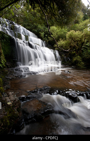 Purakaunui Falls, Southland, Südinsel, Neuseeland, Pazifik Stockfoto