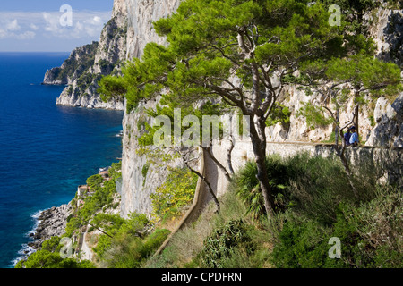 Klippen in der Nähe von Capri-Stadt, Insel Capri, Neapel, Kampanien, Italien, Europa Stockfoto
