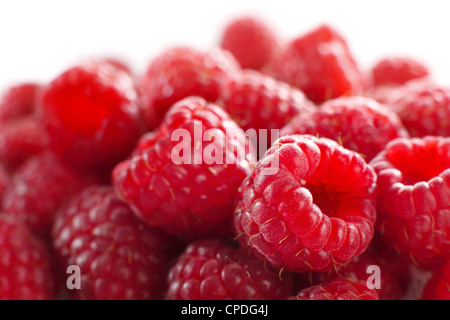 Makro aus einem Stapel von Himbeeren vor weißem Hintergrund (flachen DOF) Stockfoto