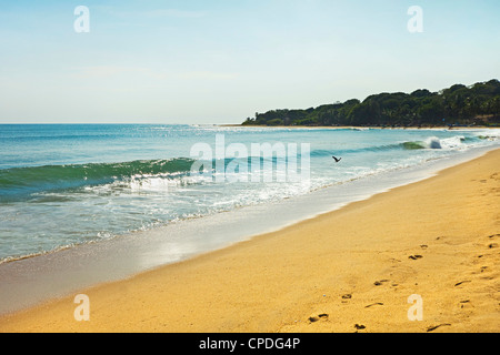 Blick auf den berühmten Surf-Punkt am südlichen Ende dieser beliebten Fischen Strand, Arugam Bay, Eastern Province, Sri Lanka, Asien Stockfoto