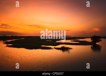 Arugam Lagune bei Sonnenuntergang, eine gute Wildlife Area, Pottuvil, Arugam Bay, Eastern Province, Sri Lanka, Asien Stockfoto