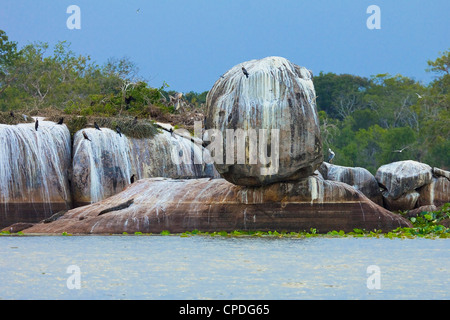 Felsformation mit Krokodilen und Kormorane auf Kumana National Park, ehemals Yala East, Kumana, Eastern Province, Sri Lanka Stockfoto