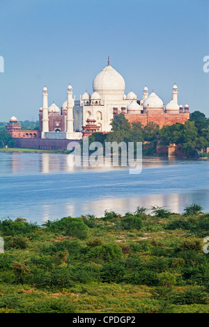 Taj Mahal, UNESCO-Weltkulturerbe in der Jumna (Yamuna) Fluss, Agra, Uttar Pradesh Zustand, Indien, Asien Stockfoto