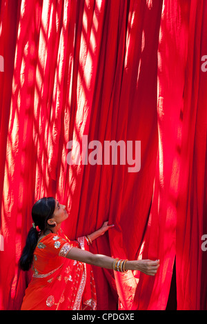 Frau im Sari, die Überprüfung der Qualität der frisch gefärbten Stoff hängen zum Trocknen, Sari Kleidungsstück Fabrik, Rajasthan, Indien, Asien Stockfoto