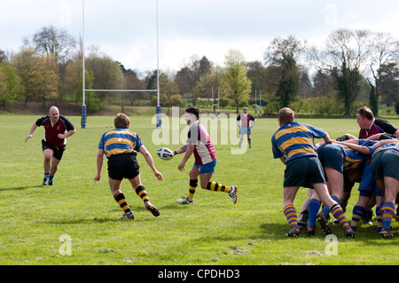 Rugby Union auf Vereinsebene Stockfoto