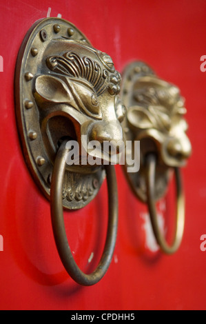Lion geformte Griffe auf dem Tor ein Hutong in Peking, China Stockfoto