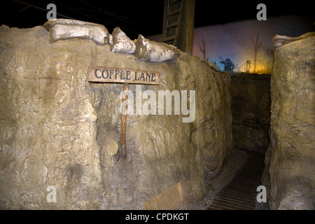 Ersten Weltkrieg rekonstruiert Rigolensystem / full Replik des 1. Weltkrieges Graben im Tank Museum. Bovington Dorset UK Stockfoto