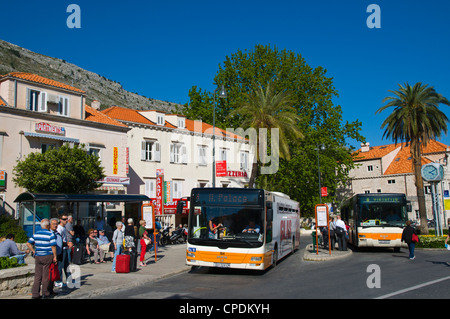 Bushaltestellen Brsalje quadratischen zentralen Stadt Dubrovnik Dalmatien Kroatien Europa Stockfoto