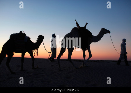 Kameltreiber in der Abenddämmerung in der Sahara Wüste, in der Nähe von Douz, Kebili, Tunesien, Nordafrika, Afrika Stockfoto