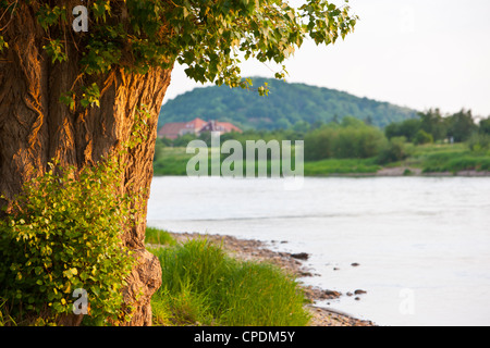 Der mächtige Fluss Elbe, Niedersachsen, Deutschland, Europa Stockfoto