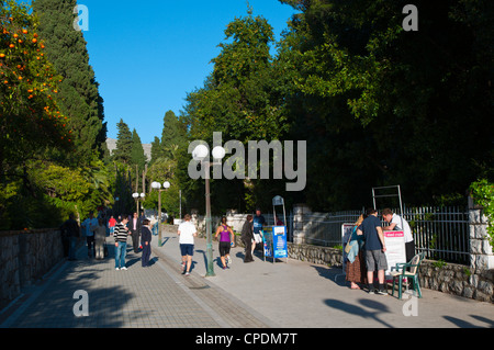 Setaliste Kralja Zvonimira Promenade führt an den Strand Lapad Bezirk Stadt Dubrovnik Dalmatien Kroatien Europa Stockfoto