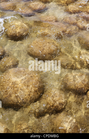 Thrombolites, lebendigen Steinen, in Lake Clifton, Yalgorup National Park, Western Australia, Australien, Pazifik Stockfoto