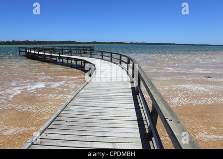 Holzsteg zum Anzeigen von Thrombolites in Lake Clifton, Yalgorup National Park, Western Australia, Australien, Pazifik Stockfoto