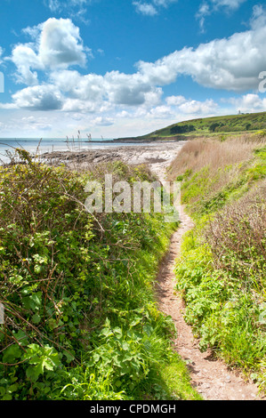 Schmalen Pfad durch Vegetation zum Strand in der Nähe von Wembury, South Devon, UK Stockfoto