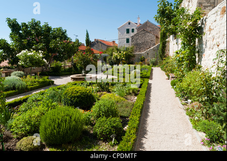 Mittelalterliche mediterranen Garten des St. Lawrence Kloster, Sibenik, Region Dalmatien, Kroatien, Europa Stockfoto