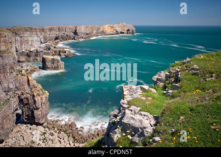 Blick auf St. Govan Kopf, Vereinigtes Pembrokeshire, Wales, Königreich, Europa Stockfoto