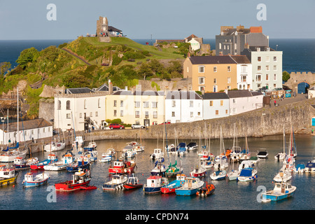 Tenby Hafen, Tenby, Pembrokeshire, Wales, Vereinigtes Königreich, Europa Stockfoto