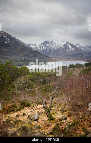 Glen Affric, Highlands, Schottland, UK Stockfoto