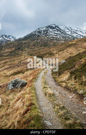 Verfolgen Sie im Glen Affric, Glen Affric, Highlands, Schottland, Vereinigtes Königreich Stockfoto