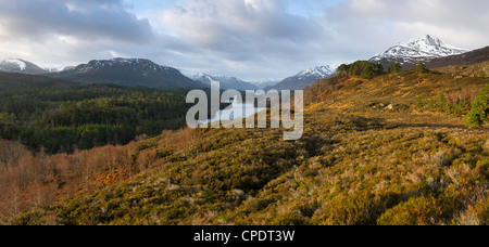 Sonnenaufgang am Glen Affric, Highlands, Schottland, Vereinigtes Königreich Stockfoto