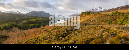 Sonnenaufgang am Glen Affric, Highlands, Schottland, Vereinigtes Königreich Stockfoto