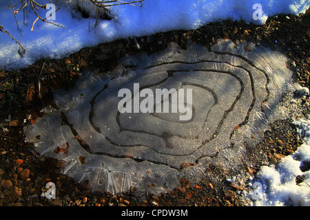 Winter-Morgen, gefrorenen Pfützen in den Schatten. Whirlpool-Muster-Ringe Abstieg in der Mitte, Hohlräume Luft unter Eis. Stockfoto