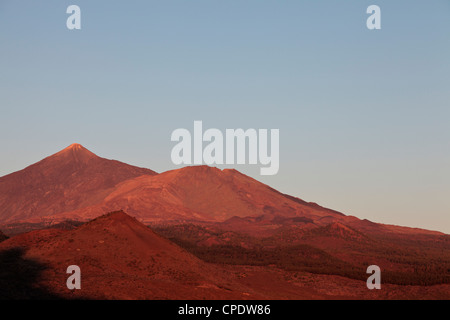 Pico del Teide auf Links, Pico Viejo unterhalb der Mitte Montana Bilma unten links, Teneriffas Vulkan Glühen rot kurz vor Sonnenuntergang Stockfoto