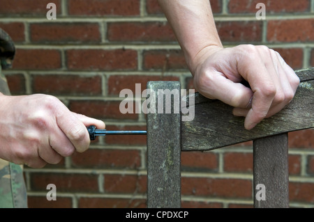 Kaukasische mans Hand mit Schraubenzieher, ziehen die Schraube am Ende Gartenbank im Garten in Bristol, Großbritannien Stockfoto