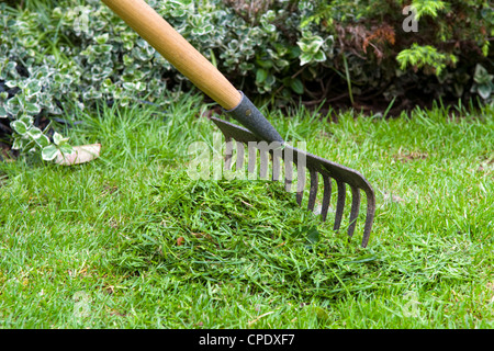 Nahaufnahme von Rake verwendet wird, um sammeln, Mähen im Garten in Bristol, Großbritannien Stockfoto