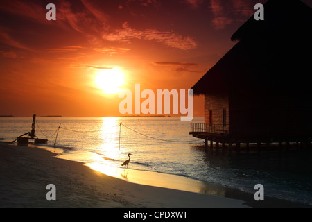 Resort Malediven Häuser am Sonnenaufgang Stockfoto