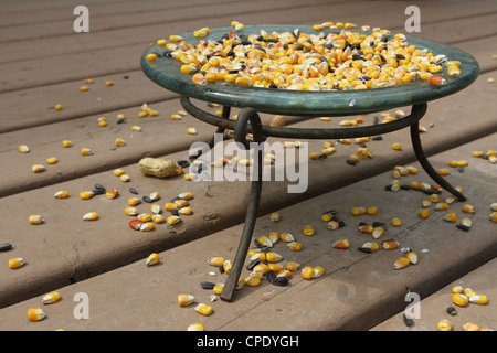 Eine Schüssel mit Eichhörnchen Essen auf einem Deck. Stockfoto