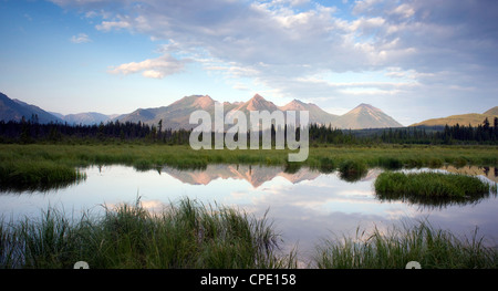 Ein Tarn entlang der Chugach Mountains und Hwy 1 in Alaska Stockfoto