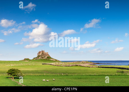 Lindisfarne Schloß auf Holy Island vor der Küste von Northumberland im Nordosten von England. Stockfoto