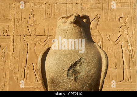 Statue von Falke, Tempel des Horus, Edfu, Ägypten, Nordafrika, Afrika Stockfoto