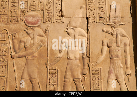 Bas-Relief, Tempel des Sobek und Haroeris, Kom Ombo, Ägypten, Nordafrika, Afrika Stockfoto