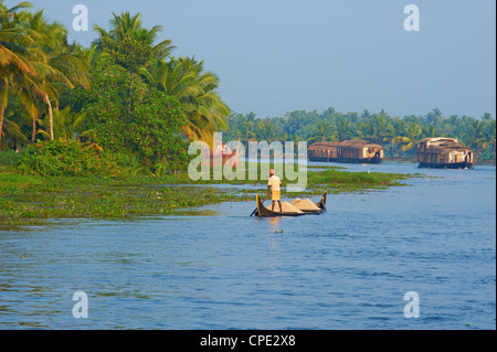 Backwaters, Allepey, Kerala, Indien, Asien Stockfoto